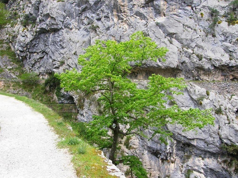 Hotel Rural Picos De Europa Посада-де-Вальдеон Екстер'єр фото